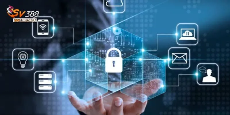 Xác nhận sẽ thực hiện theo điều khoản nhà cái