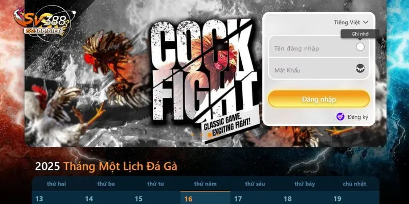 Nhà cái cá cược Sv388 là một địa chỉ đá gà cực kỳ hot